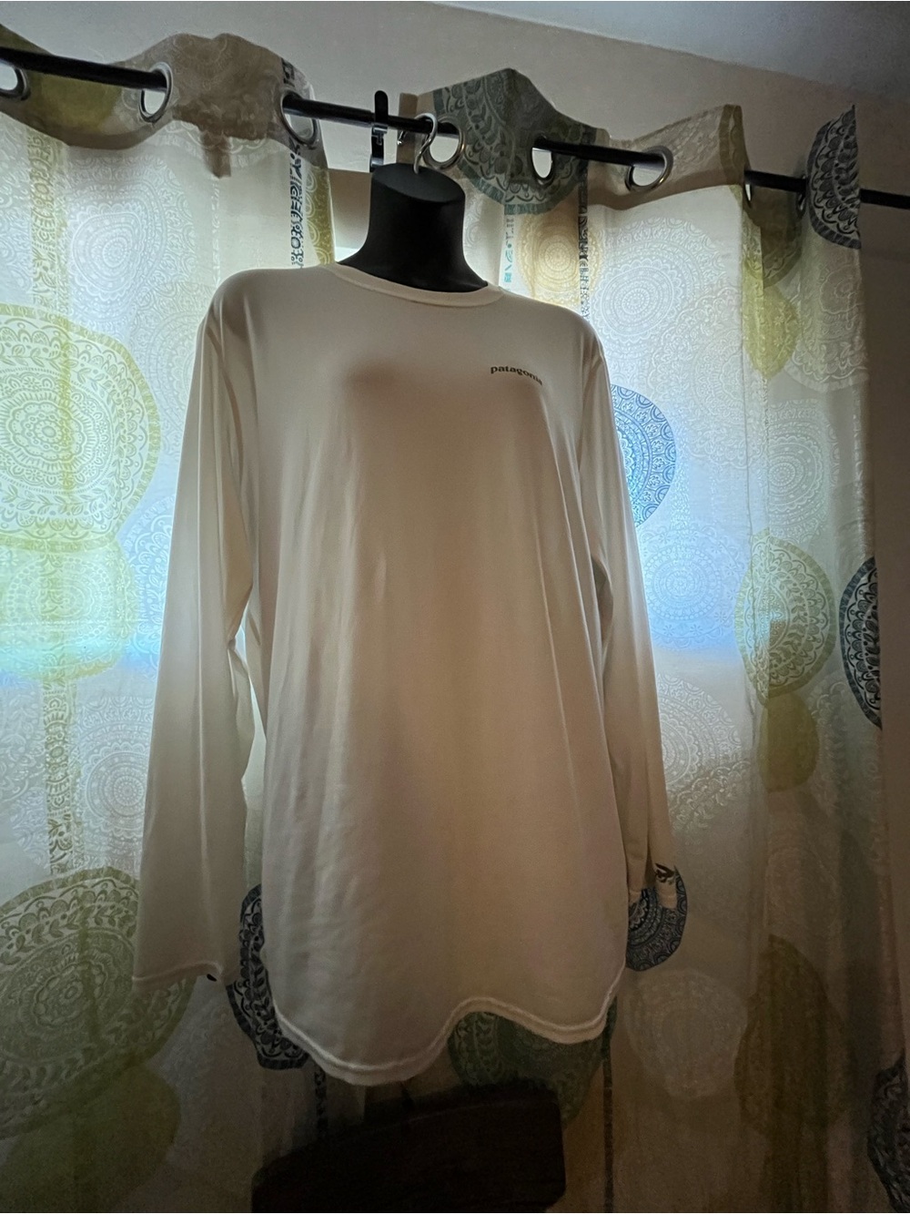 Patagonia Long Sleeve White Graphic Performance Tee